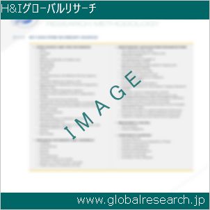 グローバルリサーチ調査レポートのイメージ